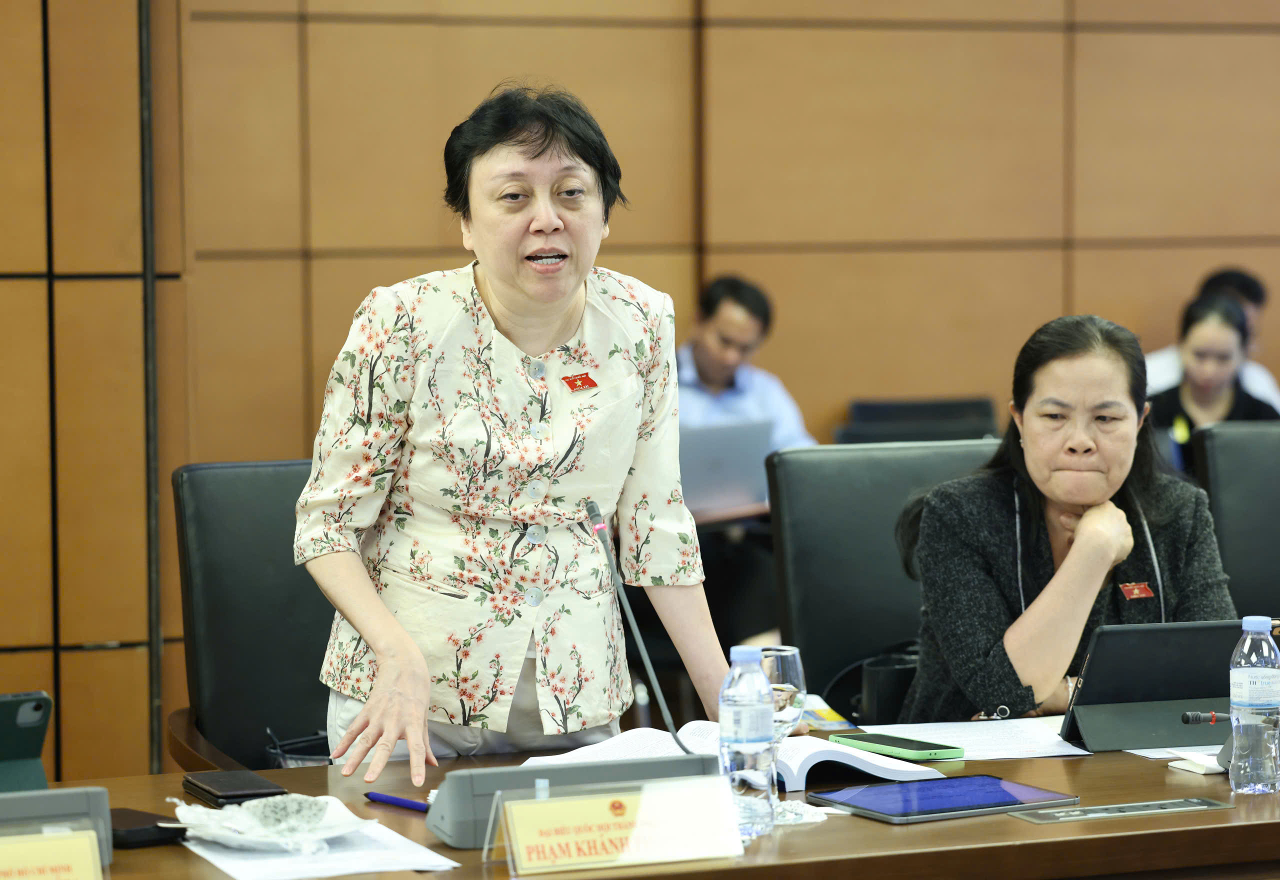 Đại biểu Phạm Khánh Phong Lan - Ảnh: Q.PHÚC