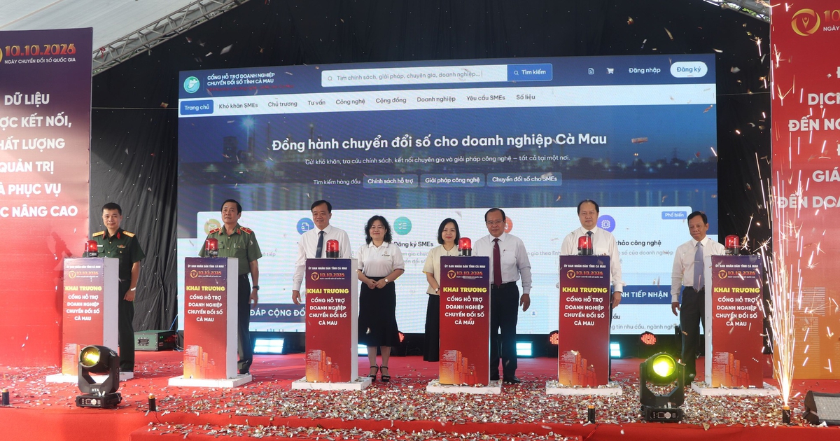 Cà Mau yêu cầu mỗi người có ít nhất một kỹ năng số phục vụ cuộc sống