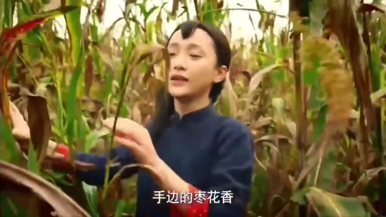 Trích đoạn phim "Cao lương đỏ". Video: Shandong TV