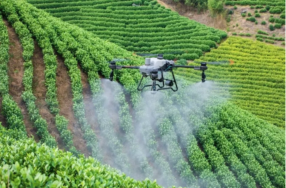 Một mẫu drone phun thuốc trên cánh đồng. Ảnh: AgriDrone
