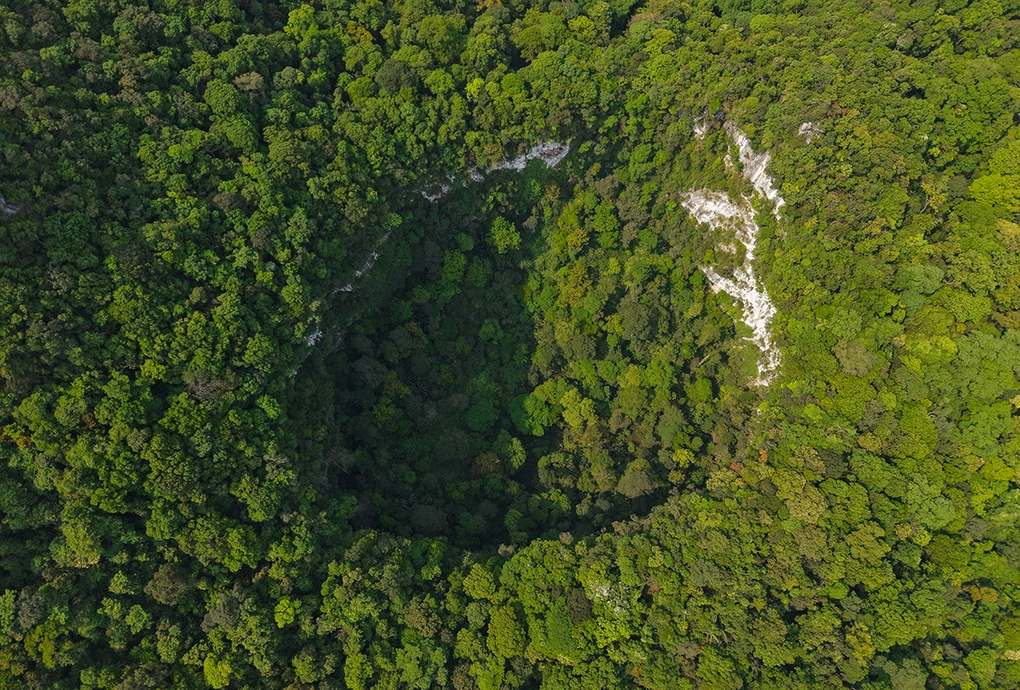 Hố sụt nhìn từ trên cao. Ảnh: Jungle Boss