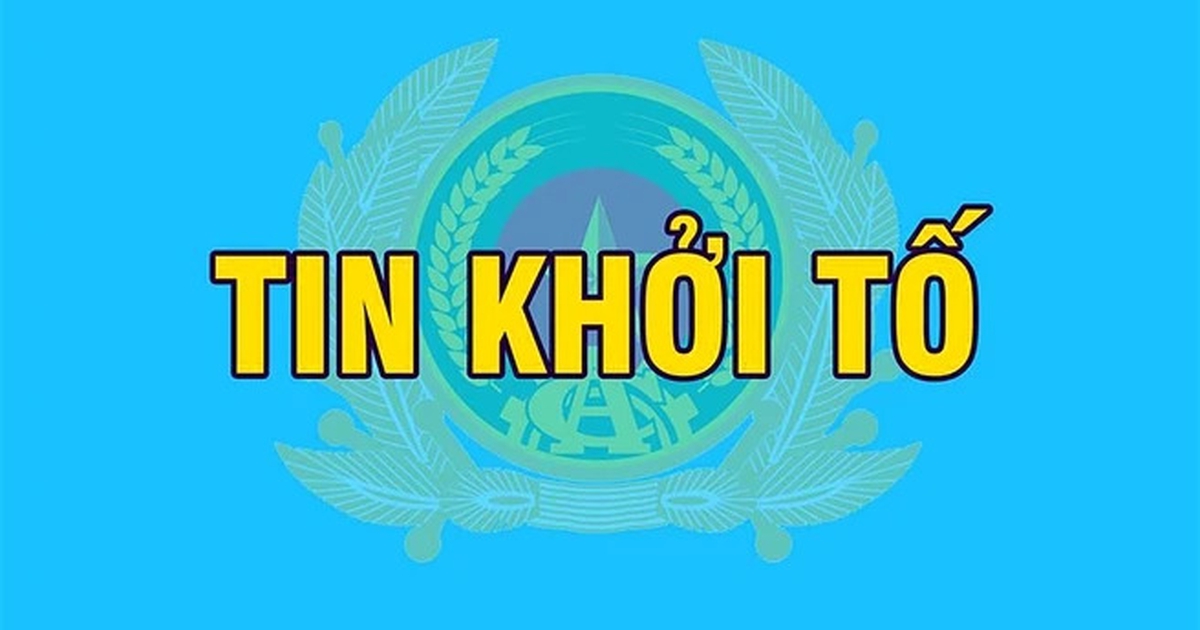 Khởi tố phó tổng giám đốc công ty vận tải biển về tội trộm cắp tài sản