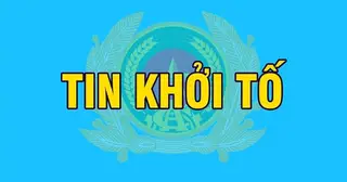 Khởi tố phó tổng giám đốc công ty vận tải biển về tội trộm cắp tài sản