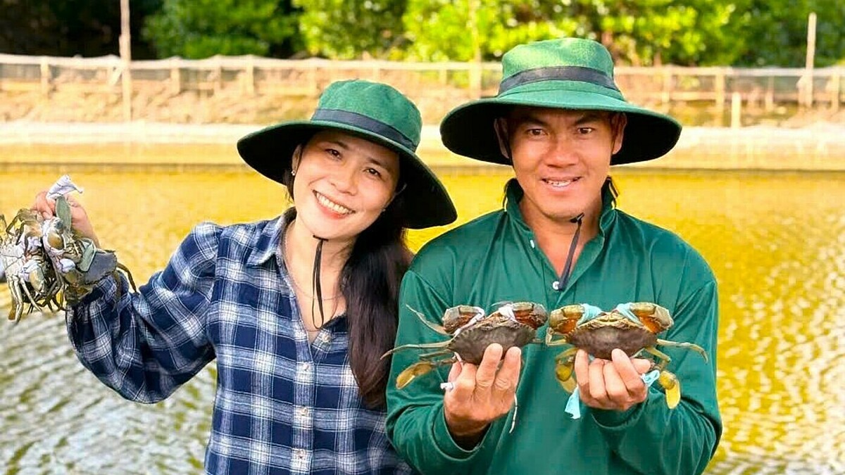 Nữ dược sĩ về quê cho khách 'nuôi cua online'