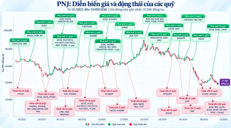 Cổ phiếu PNJ mất hơn 50% trước khi một số tổ chức ngoại tăng sở hữu