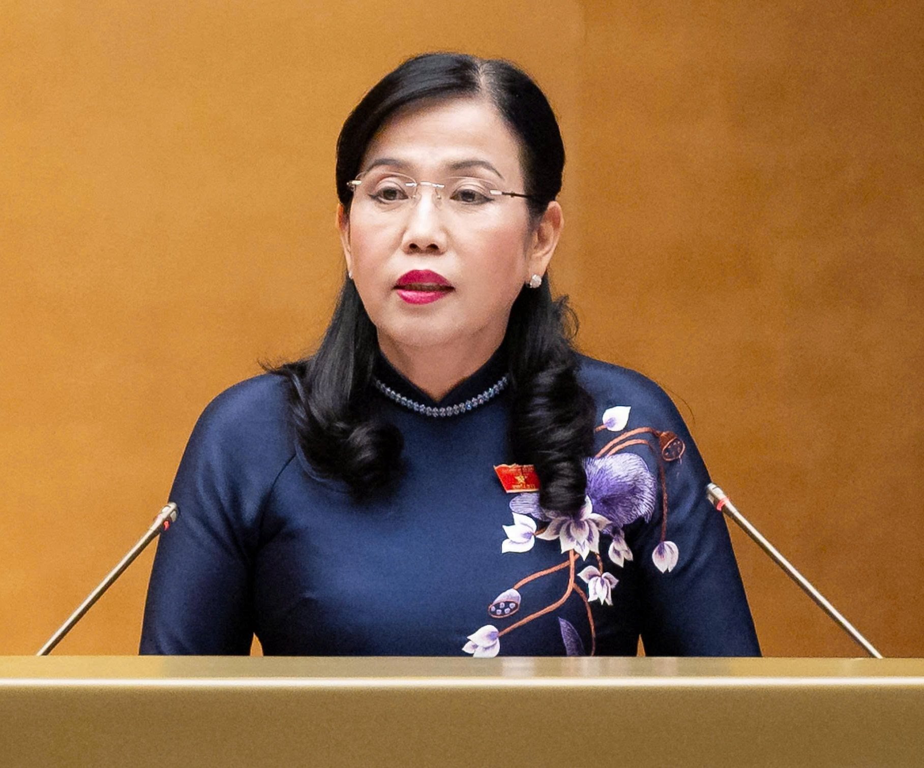 Chủ nhiệm Ủy ban Khoa học, Công nghệ và Môi trường Nguyễn Thanh Hải - Ảnh: GIA HÂN