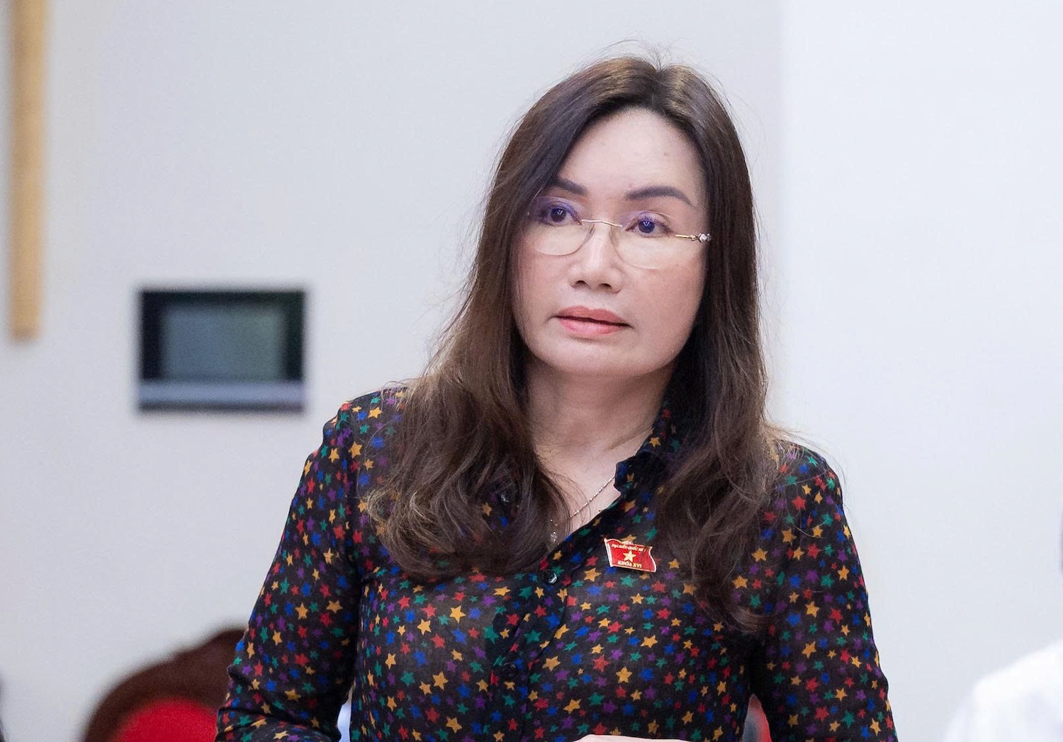 Đại biểu Phạm Thu Xanh - Ảnh: V.H.