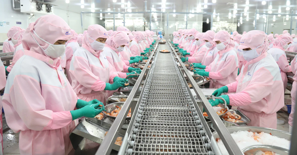 Chuyện lạ: Doanh nghiệp miền Tây đề xuất nhập khẩu lao động, nên không?