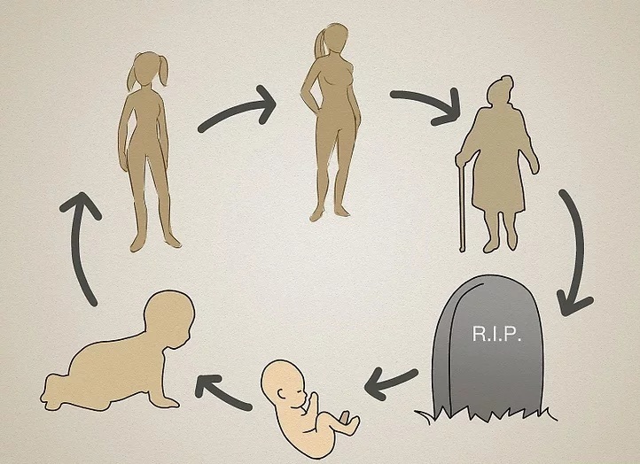 Liệu con người có thật sự luân hồi chuyển kiếp? - Ảnh: WIKIHOW