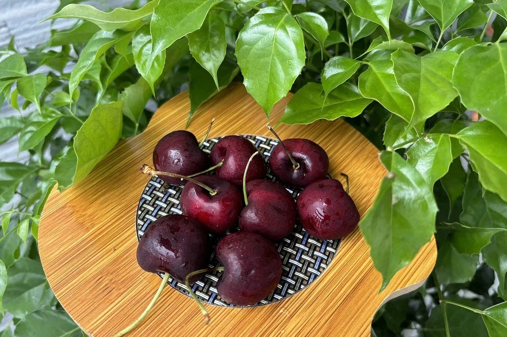 Các loại quả mọng có lượng đường thấp nhất trong các loại trái cây. Ảnh: Bảo Bảo