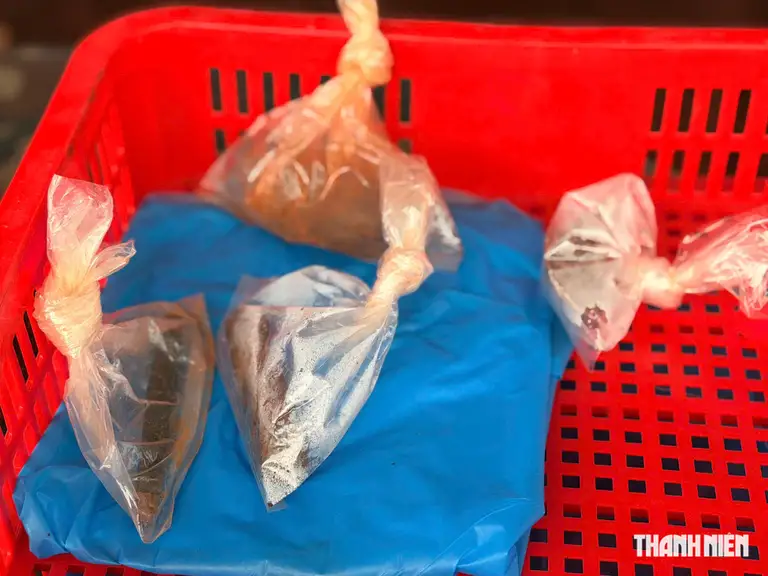 Các hiện vật được tìm thấy