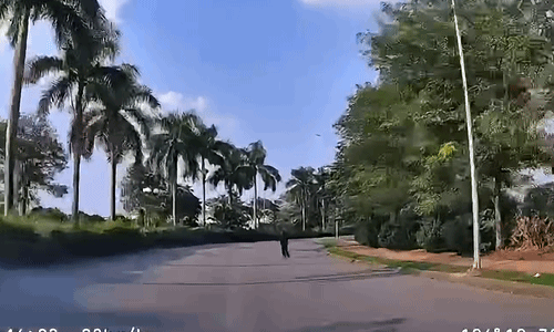 Nam thanh niên liên tục nằm ra đường trước đầu ôtô