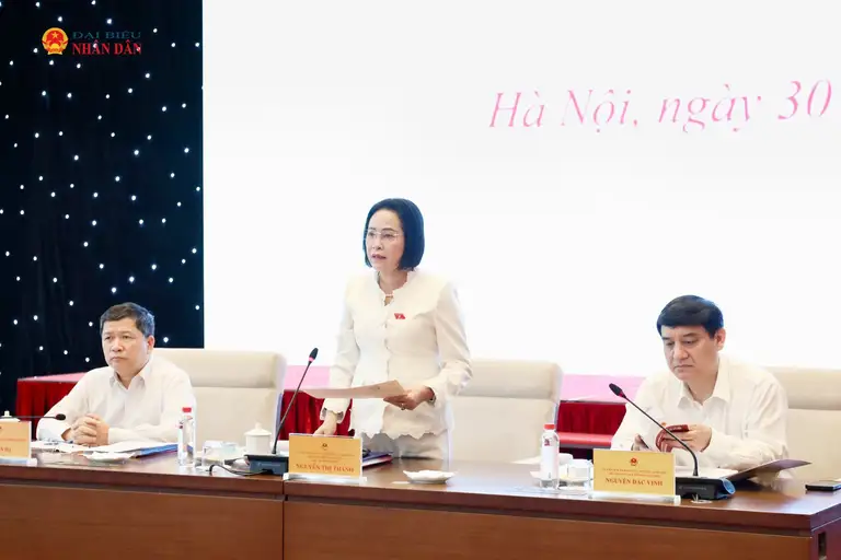 Phó chủ tịch Quốc hội Nguyễn Thị Thanh phát biểu chỉ đạo tại phiên họp