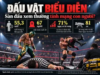 Những thống kê đáng sợ về sàn đấu đô vật - Đồ họa: HUY ĐĂNG