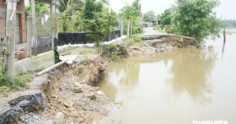 Triều cường dâng cao, người dân 'sốt vó' lo nước tràn vườn cây