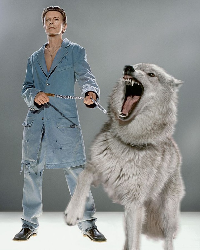 David Bowie là một trong những biểu tượng của lịch sử nhạc rock thế giới, nổi tiếng với phong cách âm nhạc biến hóa liên tục qua các thời kỳ.