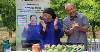 Lão nông Lạng Sơn lần đầu livestream chốt hàng trăm đơn, bán 3 tấn na tại vườn