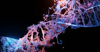 Phát hiện hai 'dòng dõi ma' ẩn trong DNA người