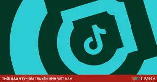 TikTok gỡ bỏ hơn 7,5 triệu video vi phạm tiêu chuẩn cộng đồng tại Việt Nam