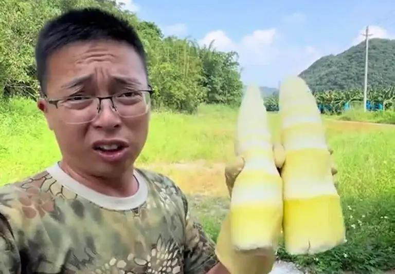 Blogger Yu Lie Qi Ge phản ánh tinh trạng măng xông lưu huỳnh tại thành phố Thanh Viễn, tỉnh Quảng Đông. Video: Bilibili