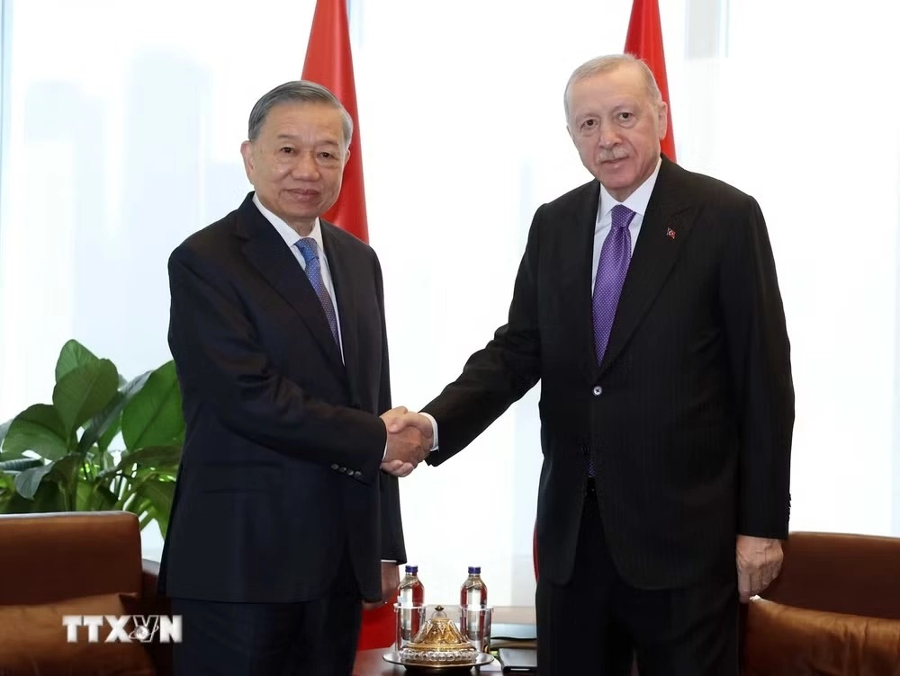 Tổng Bí thư, Chủ tịch nước Tô Lâm gặp Tổng thống Thổ Nhĩ Kỳ Recep Tayyip Erdogan. Ảnh: TTXVN