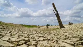 Hơn 300.000 ha cây trồng nguy cơ thiếu nước do El Nino
