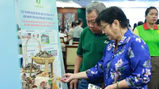 TP HCM trả lương đến 100 triệu đồng cho chuyên gia nông nghiệp công nghệ cao
