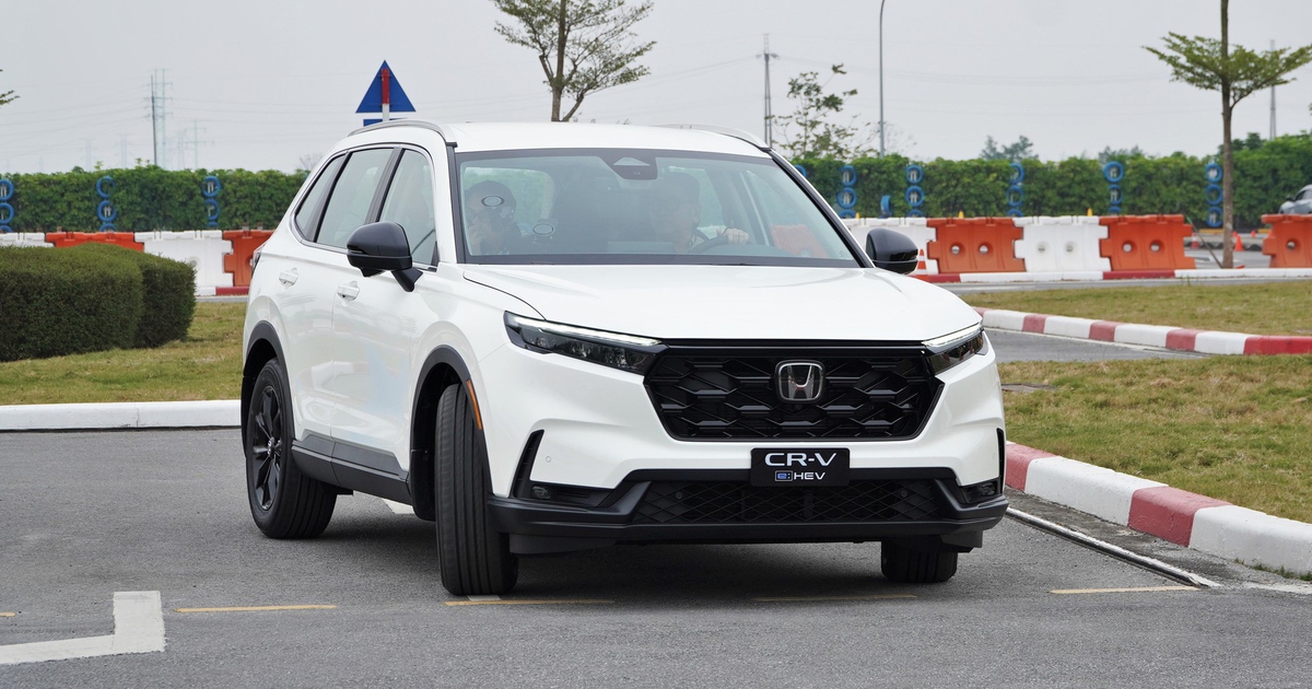 Xe hybrid có tạo được cú hích giữa thời xăng tăng giá?