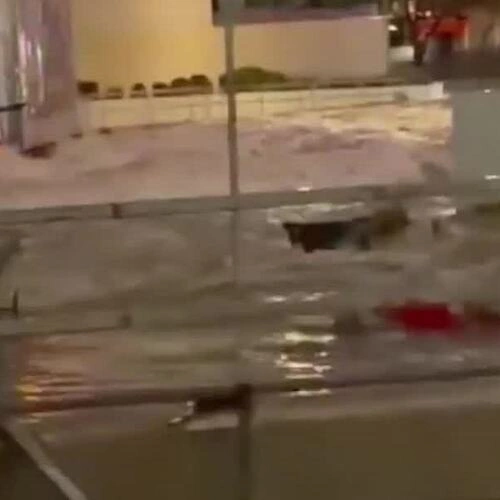 Hoàn lưu bão nhiệt đới Rachel gây mưa lớn kỷ lục, khiến đường phố Las Vegas ngập như sông ngày 11-12/10. Video: X/WeatherNation