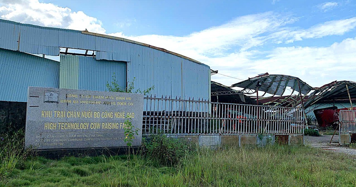 Nhiều tài sản thế chấp tại dự án trại bò ngàn tỉ được đưa ra đấu giá