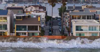 El Nino đưa rắn biển độc, cá nhiệt đới đến bờ biển California
