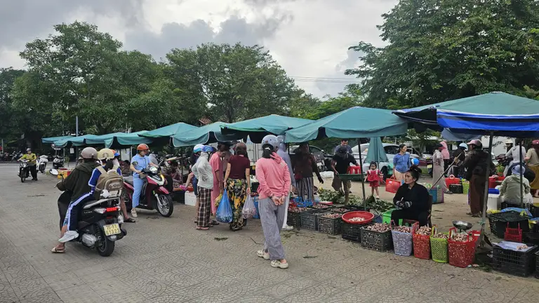 Loài nấm 'đắng ngắt' từ rừng xuống phố, ở xa 30km vẫn tìm đến mua