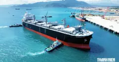 Cảng Trung Nam Cà Ná đón chuyến tàu chở dăm gỗ đầu tiên đi Nhật Bản