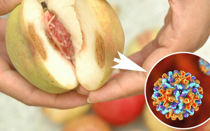 Đừng ăn trái cây nấm mốc, thối hỏng vì rất có thể đang tự "nạp" chất gây ung thư vào người (Ảnh minh họa)