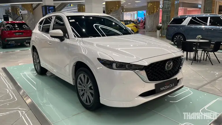 SUV, crossover là nhóm xe có số lượng mẫu mã đa dạng nhất đang phân phối trên thị trường
