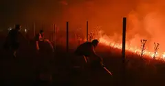 Nắng nóng châu Âu 2026 đe dọa sức khỏe và gây cháy rừng ở nhiều nước