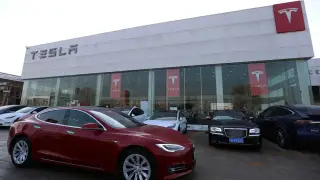 Lợi nhuận Tesla giảm gần một nửa