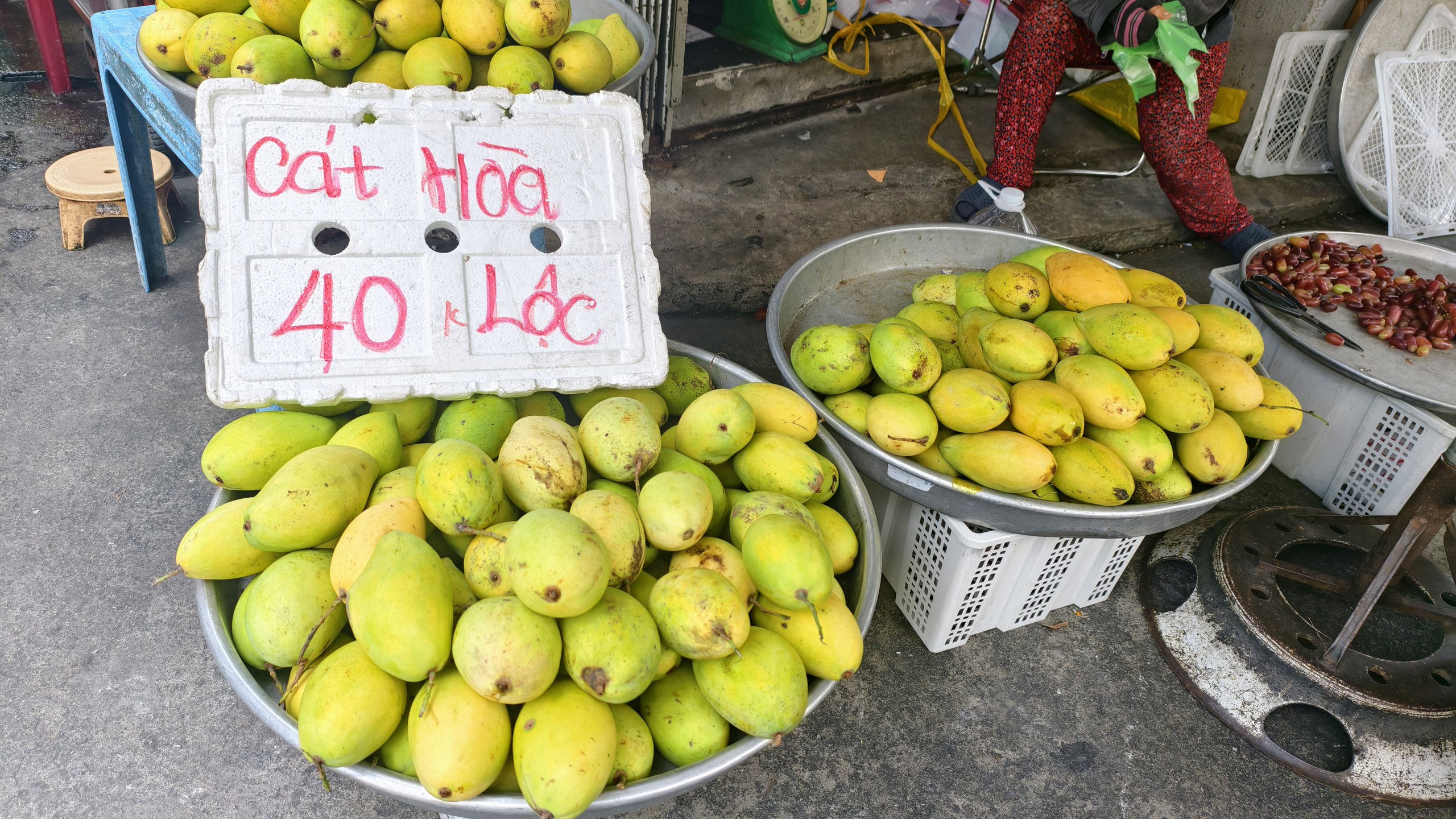 Xoài cát chín được giảm giá để kịp hết hàng - Ảnh: THY NHUNG