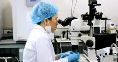 TP.HCM đề xuất hỗ trợ nhà giáo, cán bộ quản lý giáo dục học thạc sĩ, tiến sĩ đến 637 triệu đồng