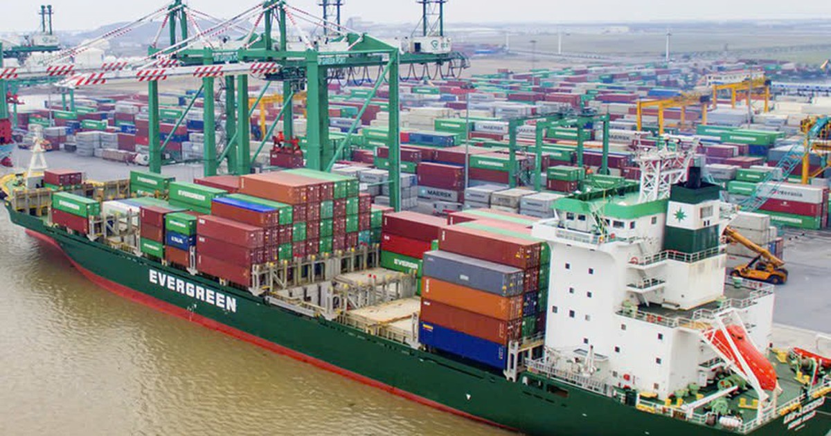 Viconship muốn cho công ty con vay 120 tỷ đồng