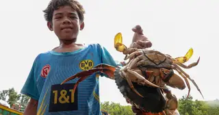 Cần Thơ có xóm ghe giữa rừng phòng hộ phường Vĩnh Châu