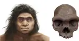 Giải mã bí mật chấn động về dung mạo người Denisovan: Nhánh nhân loại bí ẩn đã lộ diện