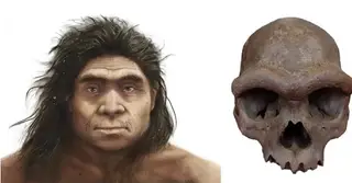 Giải mã bí mật chấn động về dung mạo người Denisovan: Nhánh nhân loại bí ẩn đã lộ diện