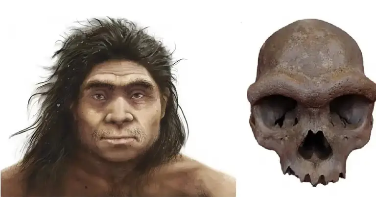 Giải mã bí mật chấn động về dung mạo người Denisovan: Nhánh nhân loại bí ẩn đã lộ diện
