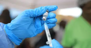 Pháp lần đầu phát hiện vi rút Shamonda ở người, bệnh nhân đã tử vong
