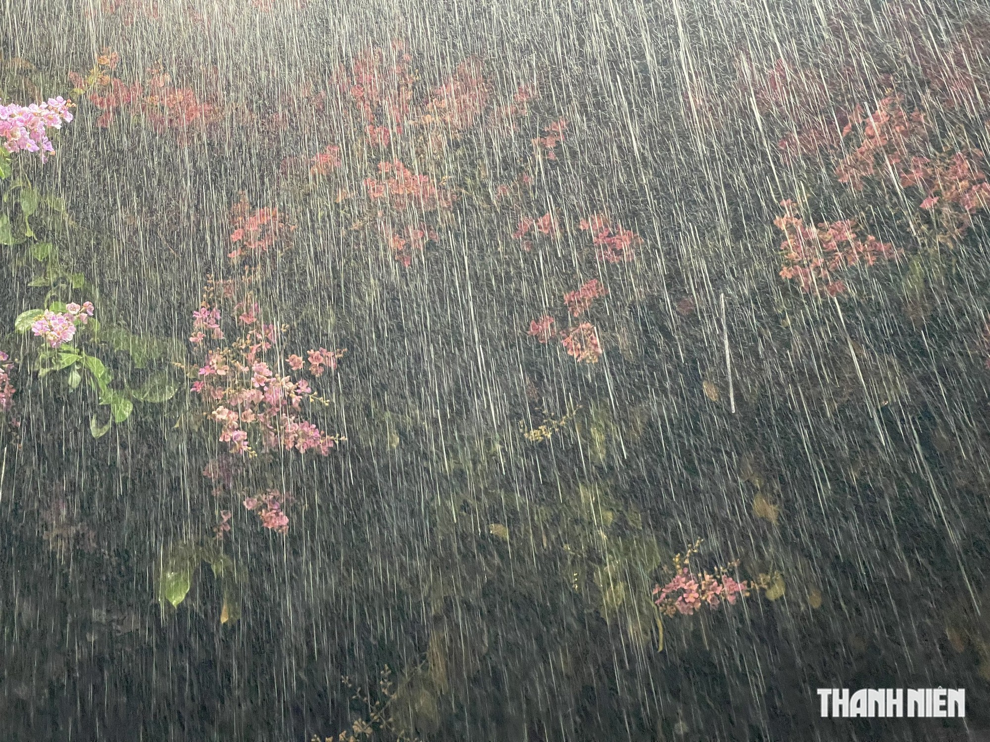 Dự báo thời tiết tết Trung thu năm nay, mưa lớn xảy ra ở các tỉnh miền Trung từ Nghệ An đến bắc Quảng Trị