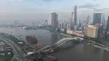 Vì sao chọn lá dừa nước tạo hình cầu đi bộ qua sông Sài Gòn?