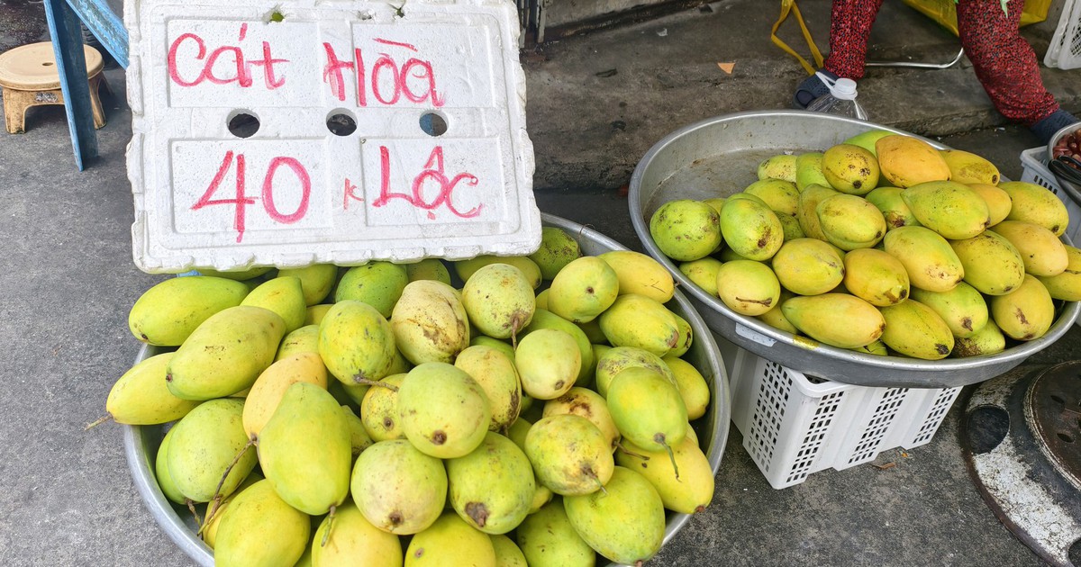 Giá cả đầu ngày: Xoài cát Hòa Lộc giá 'dễ thở', còn 40.000 đồng/kg, cam xoàn đắt gấp 3 lần cam sành