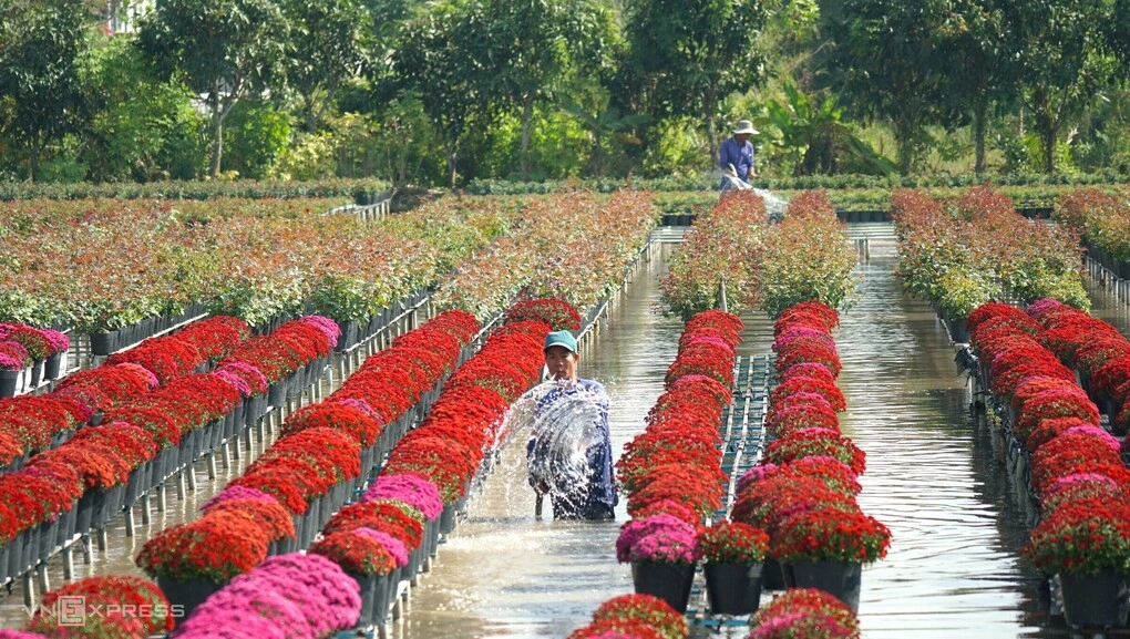 Làng hoa Sa Đéc Tết 2025. Ảnh: Ngọc Tài