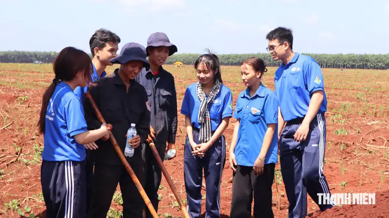 Mộ tập thể ở Đồng Nai: 'Bố tôi nằm nghĩa trang, còn các chú ở đây...' - Ảnh 2.